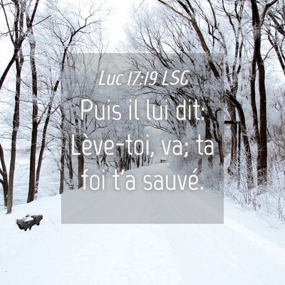 Picture 04 - Luc 17:19 LSG - Puis il lui dit: Lève-toi, va; ta foi t'a - Bible Verse Picture
