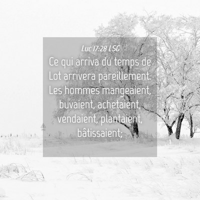Picture 04 - Luc 17:28 LSG - Ce qui arriva du temps de Lot arrivera - Bible Verse Picture