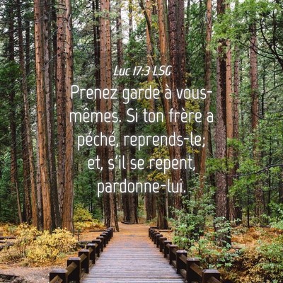 Picture 04 - Luc 17:3 LSG - Prenez garde à vous-mêmes. Si ton frère a - Bible Verse Picture