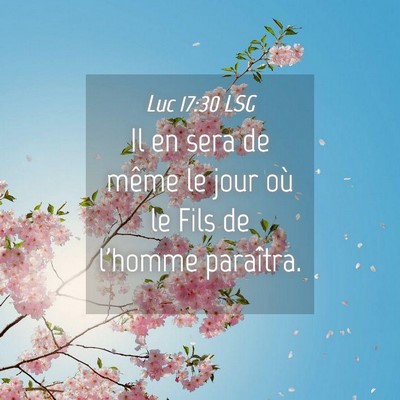 Picture 04 - Luc 17:30 LSG - Il en sera de même le jour où le Fils de - Bible Verse Picture