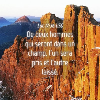 Picture 04 - Luc 17:36 LSG - De deux hommes qui seront dans un champ, l'un - Bible Verse Picture