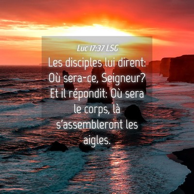 Picture 04 - Luc 17:37 LSG - Les disciples lui dirent: Où sera-ce, Seigneur? - Bible Verse Picture