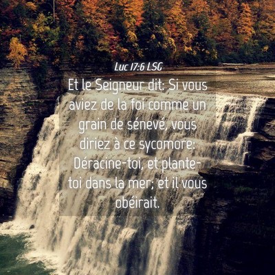 Picture 04 - Luc 17:6 LSG - Et le Seigneur dit: Si vous aviez de la foi comme - Bible Verse Picture
