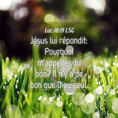 Picture 04 - Luc 18:19 LSG - Jésus lui répondit: Pourquoi m'appelles-tu bon? - Bible Verse Picture