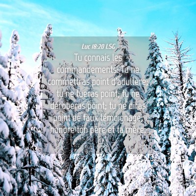 Picture 04 - Luc 18:20 LSG - Tu connais les commandements: Tu ne commettras - Bible Verse Picture