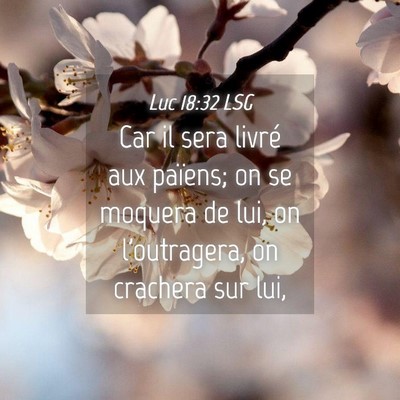 Picture 04 - Luc 18:32 LSG - Car il sera livré aux païens; on se moquera de - Bible Verse Picture