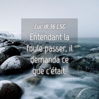 Picture 04 - Luc 18:36 LSG - Entendant la foule passer, il demanda ce que - Bible Verse Picture