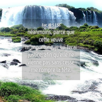 Picture 04 - Luc 18:5 LSG - néanmoins, parce que cette veuve m'importune, je - Bible Verse Picture
