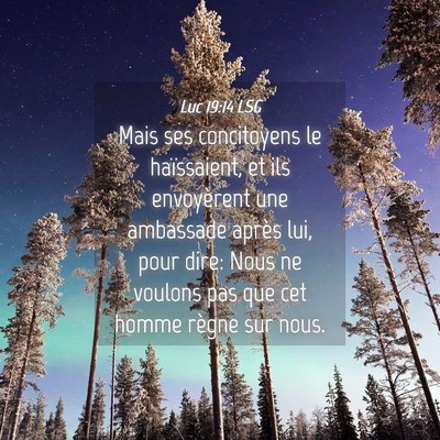 Picture 04 - Luc 19:14 LSG - Mais ses concitoyens le haïssaient, et ils - Bible Verse Picture