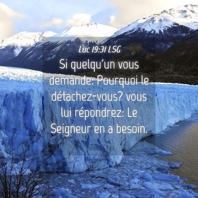 Picture 04 - Luc 19:31 LSG - Si quelqu'un vous demande: Pourquoi le - Bible Verse Picture