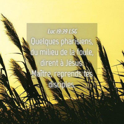 Picture 04 - Luc 19:39 LSG - Quelques pharisiens, du milieu de la foule, - Bible Verse Picture