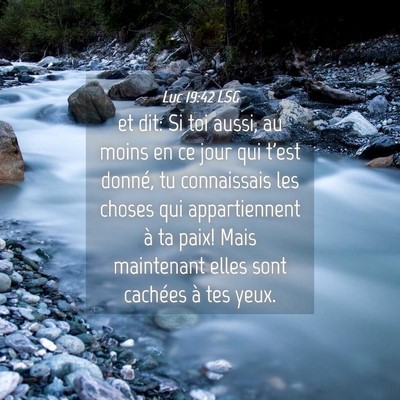 Picture 04 - Luc 19:42 LSG - et dit: Si toi aussi, au moins en ce jour qui - Bible Verse Picture