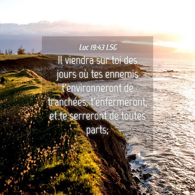Picture 04 - Luc 19:43 LSG - Il viendra sur toi des jours où tes ennemis - Bible Verse Picture