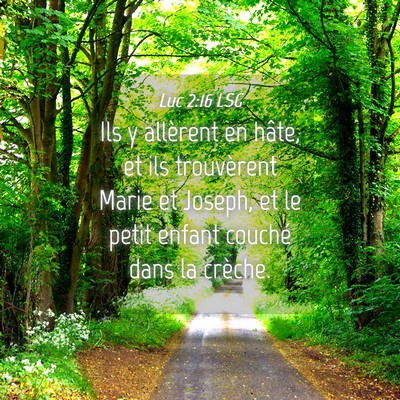 Picture 04 - Luc 2:16 LSG - Ils y allèrent en hâte, et ils trouvèrent - Bible Verse Picture