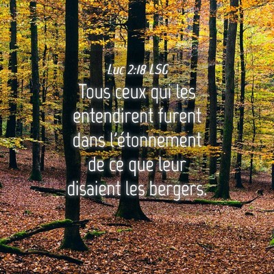 Picture 04 - Luc 2:18 LSG - Tous ceux qui les entendirent furent dans - Bible Verse Picture