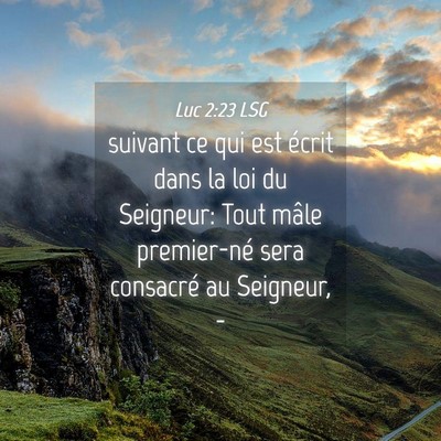 Picture 04 - Luc 2:23 LSG - suivant ce qui est écrit dans la loi du - Bible Verse Picture