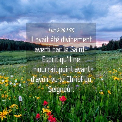 Picture 04 - Luc 2:26 LSG - Il avait été divinement averti par le - Bible Verse Picture