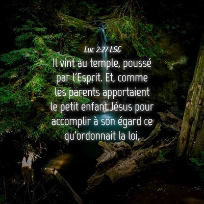 Picture 04 - Luc 2:27 LSG - Il vint au temple, poussé par l'Esprit. Et, - Bible Verse Picture