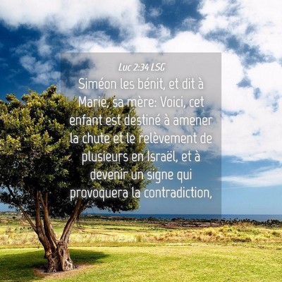Picture 04 - Luc 2:34 LSG - Siméon les bénit, et dit à Marie, sa mère: - Bible Verse Picture