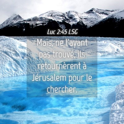 Picture 04 - Luc 2:45 LSG - Mais, ne l'ayant pas trouvé, ils retournèrent - Bible Verse Picture