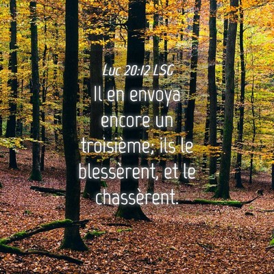 Picture 04 - Luc 20:12 LSG - Il en envoya encore un troisième; ils le - Bible Verse Picture