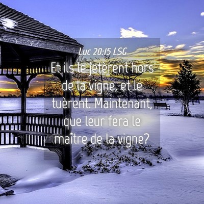 Picture 04 - Luc 20:15 LSG - Et ils le jetèrent hors de la vigne, et le - Bible Verse Picture