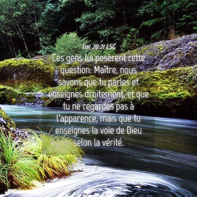 Picture 04 - Luc 20:21 LSG - Ces gens lui posèrent cette question: Maître, - Bible Verse Picture