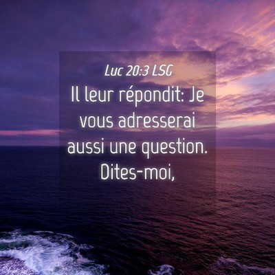 Picture 04 - Luc 20:3 LSG - Il leur répondit: Je vous adresserai aussi une - Bible Verse Picture