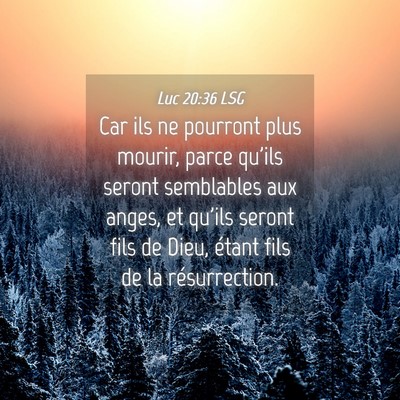 Picture 04 - Luc 20:36 LSG - Car ils ne pourront plus mourir, parce qu'ils - Bible Verse Picture