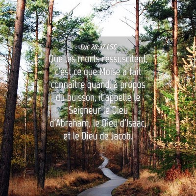 Picture 04 - Luc 20:37 LSG - Que les morts ressuscitent, c'est ce que Moïse a - Bible Verse Picture