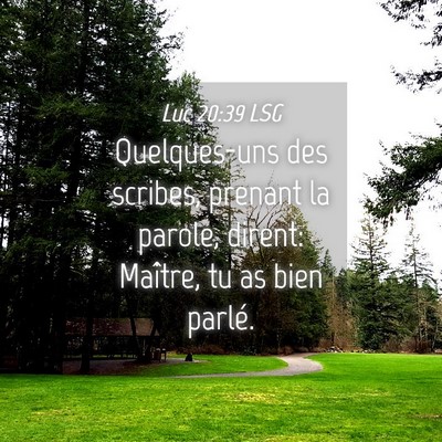 Picture 04 - Luc 20:39 LSG - Quelques-uns des scribes, prenant la parole, - Bible Verse Picture