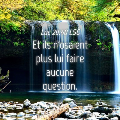 Picture 04 - Luc 20:40 LSG - Et ils n'osaient plus lui faire aucune - Bible Verse Picture