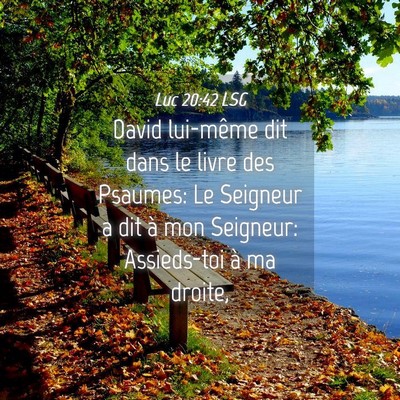Picture 04 - Luc 20:42 LSG - David lui-même dit dans le livre des Psaumes: Le - Bible Verse Picture