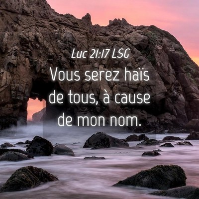 Picture 04 - Luc 21:17 LSG - Vous serez haïs de tous, à cause de mon - Bible Verse Picture