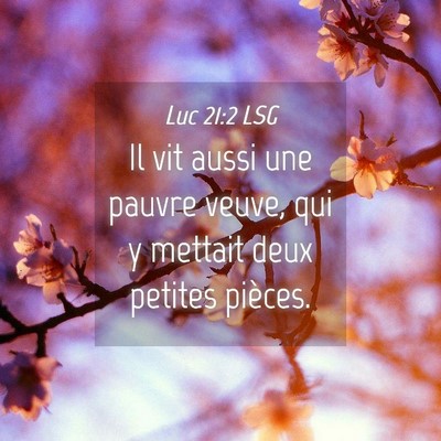 Picture 04 - Luc 21:2 LSG - Il vit aussi une pauvre veuve, qui y mettait deux - Bible Verse Picture