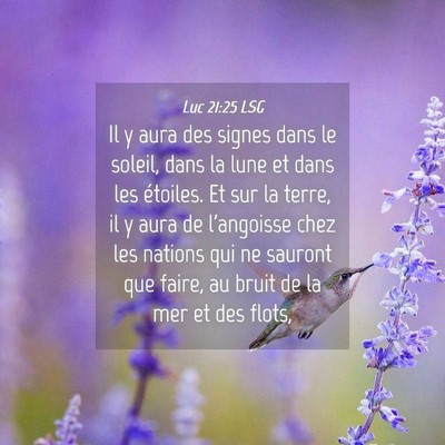 Picture 04 - Luc 21:25 LSG - Il y aura des signes dans le soleil, dans la lune - Bible Verse Picture