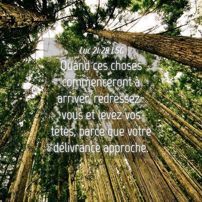 Picture 04 - Luc 21:28 LSG - Quand ces choses commenceront à arriver, - Bible Verse Picture