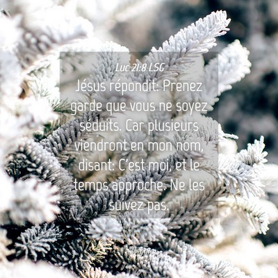 Picture 04 - Luc 21:8 LSG - Jésus répondit: Prenez garde que vous ne soyez - Bible Verse Picture