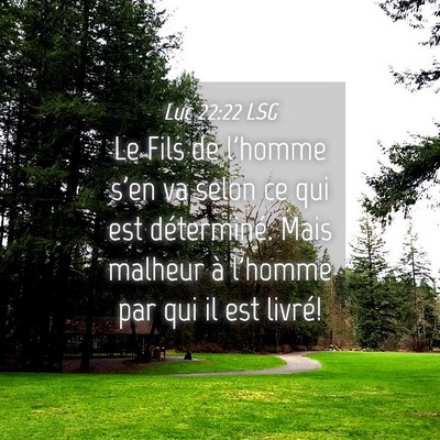 Picture 04 - Luc 22:22 LSG - Le Fils de l'homme s'en va selon ce qui est - Bible Verse Picture