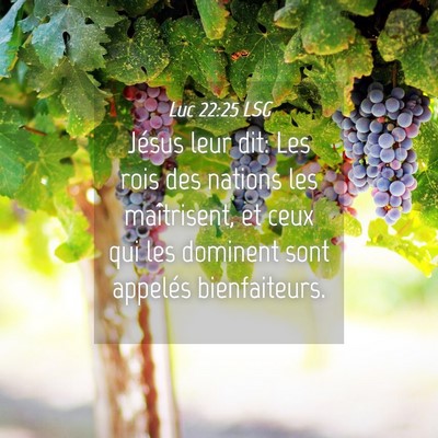 Picture 04 - Luc 22:25 LSG - Jésus leur dit: Les rois des nations les - Bible Verse Picture