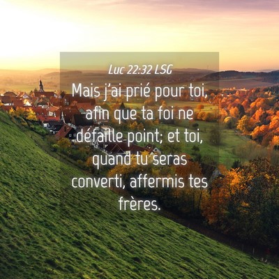 Picture 04 - Luc 22:32 LSG - Mais j'ai prié pour toi, afin que ta foi ne - Bible Verse Picture