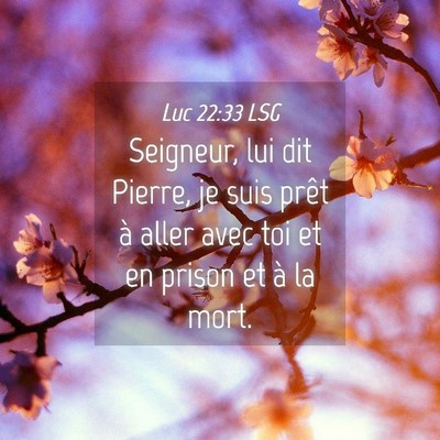 Picture 04 - Luc 22:33 LSG - Seigneur, lui dit Pierre, je suis prêt à aller - Bible Verse Picture