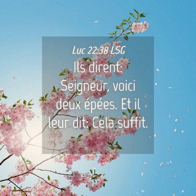 Picture 04 - Luc 22:38 LSG - Ils dirent: Seigneur, voici deux épées. Et il - Bible Verse Picture
