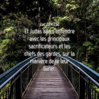 Picture 04 - Luc 22:4 LSG - Et Judas alla s'entendre avec les principaux - Bible Verse Picture