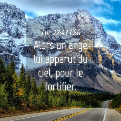 Picture 04 - Luc 22:43 LSG - Alors un ange lui apparut du ciel, pour le - Bible Verse Picture