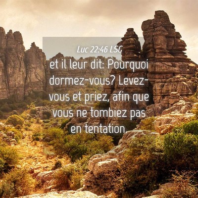 Picture 04 - Luc 22:46 LSG - et il leur dit: Pourquoi dormez-vous? Levez-vous - Bible Verse Picture