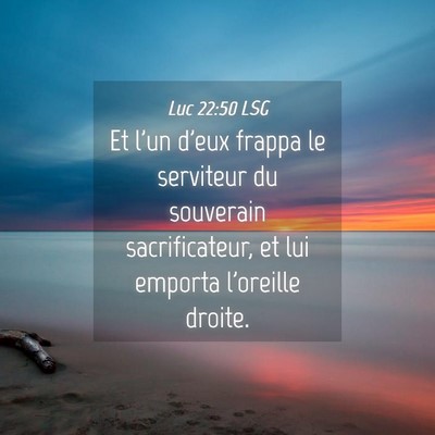 Picture 04 - Luc 22:50 LSG - Et l'un d'eux frappa le serviteur du souverain - Bible Verse Picture