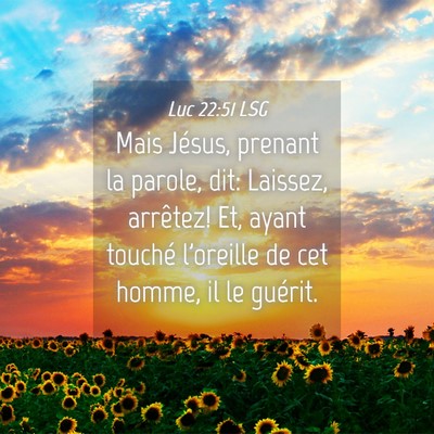 Picture 04 - Luc 22:51 LSG - Mais Jésus, prenant la parole, dit: Laissez, - Bible Verse Picture