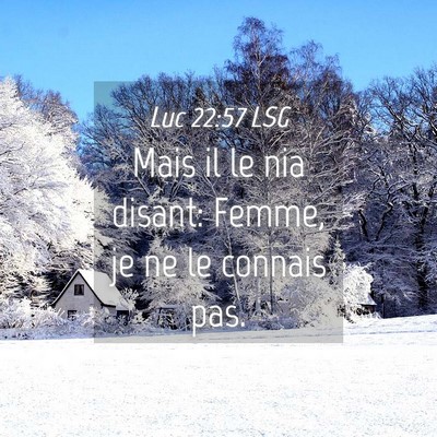Picture 04 - Luc 22:57 LSG - Mais il le nia disant: Femme, je ne le connais - Bible Verse Picture