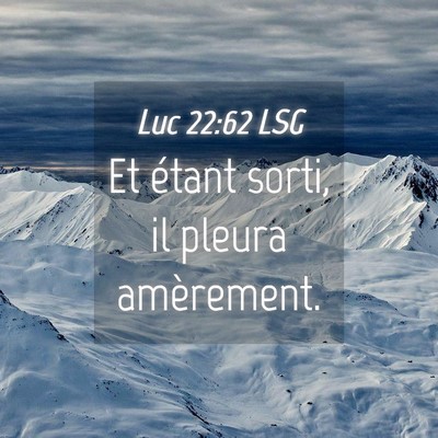 Picture 04 - Luc 22:62 LSG - Et étant sorti, il pleura - Bible Verse Picture